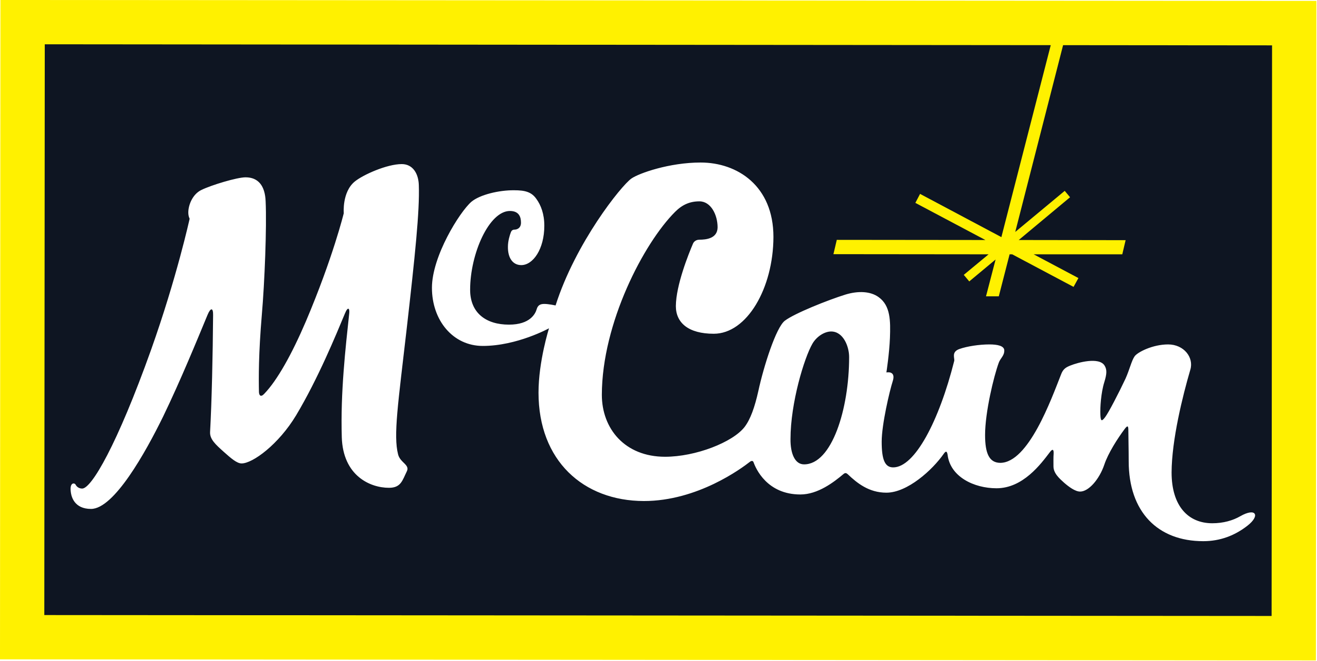 McCain frozen products